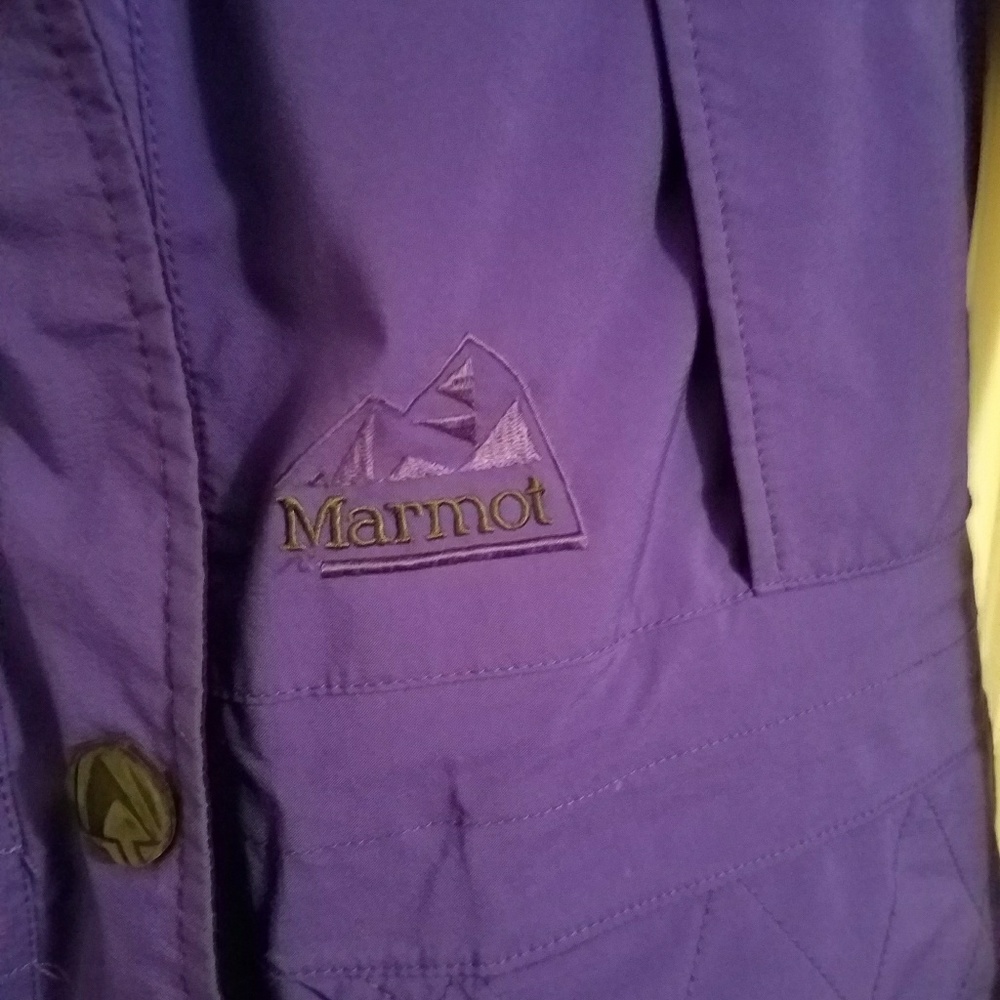 Purple jacket - Picture 3 of 4